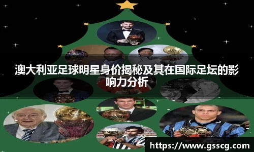 澳大利亚足球明星身价揭秘及其在国际足坛的影响力分析